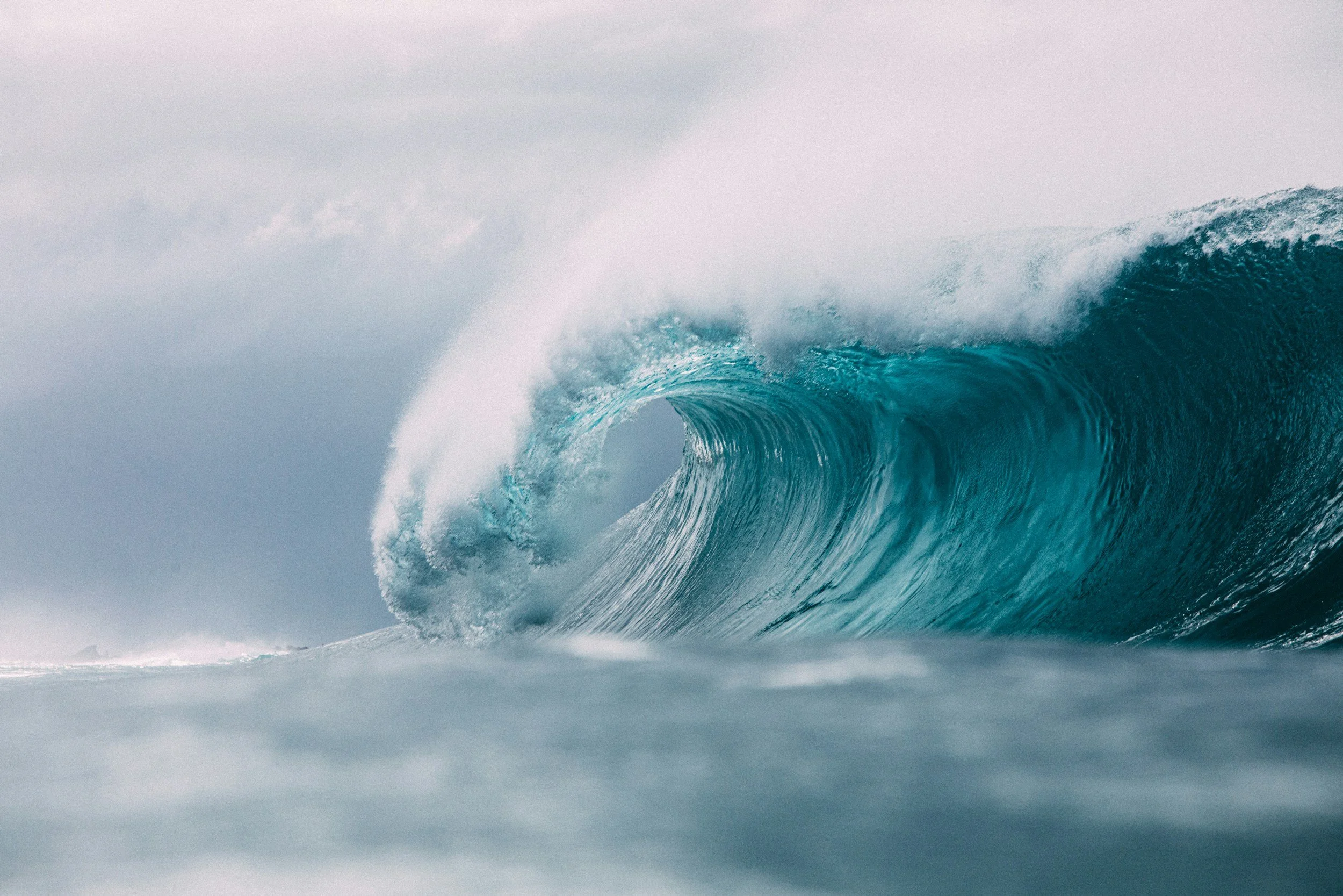 A cresting ocean wave