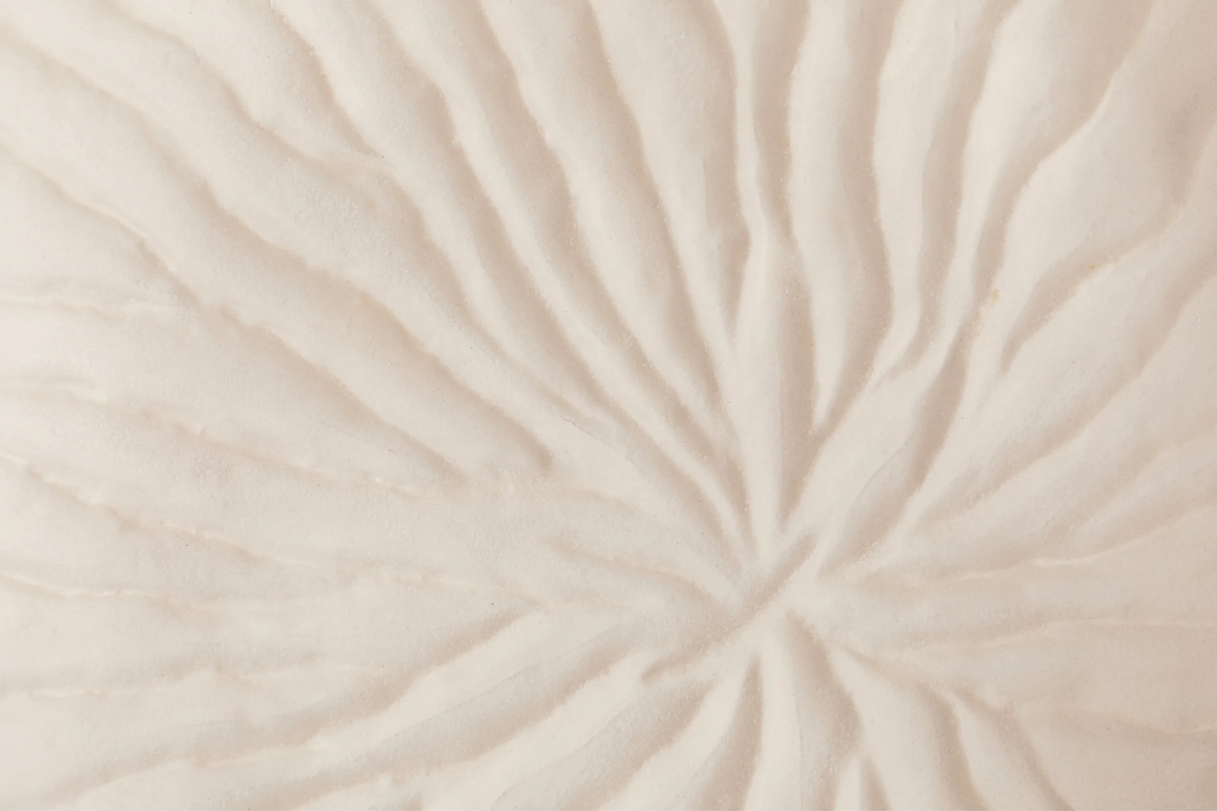 Soft radial pattern in pale cream tones